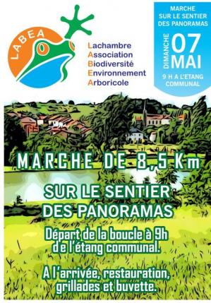 Affiche marche 7-05